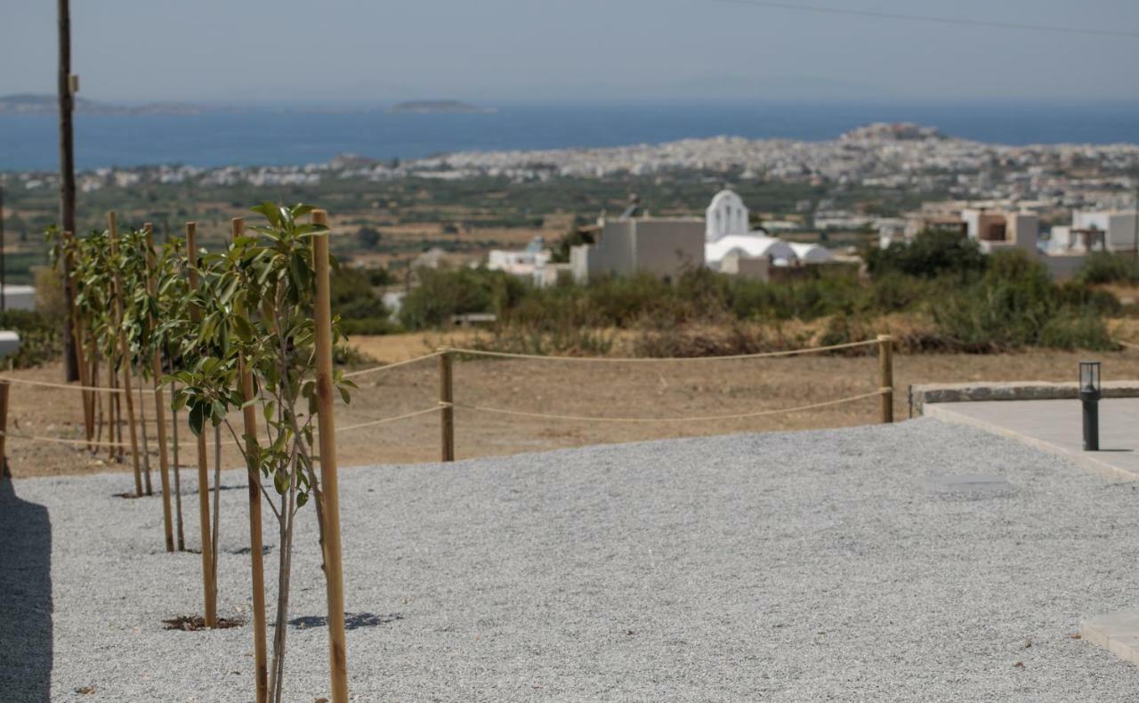 Naxos Infinity Villa And Suites Galanado Exterior foto